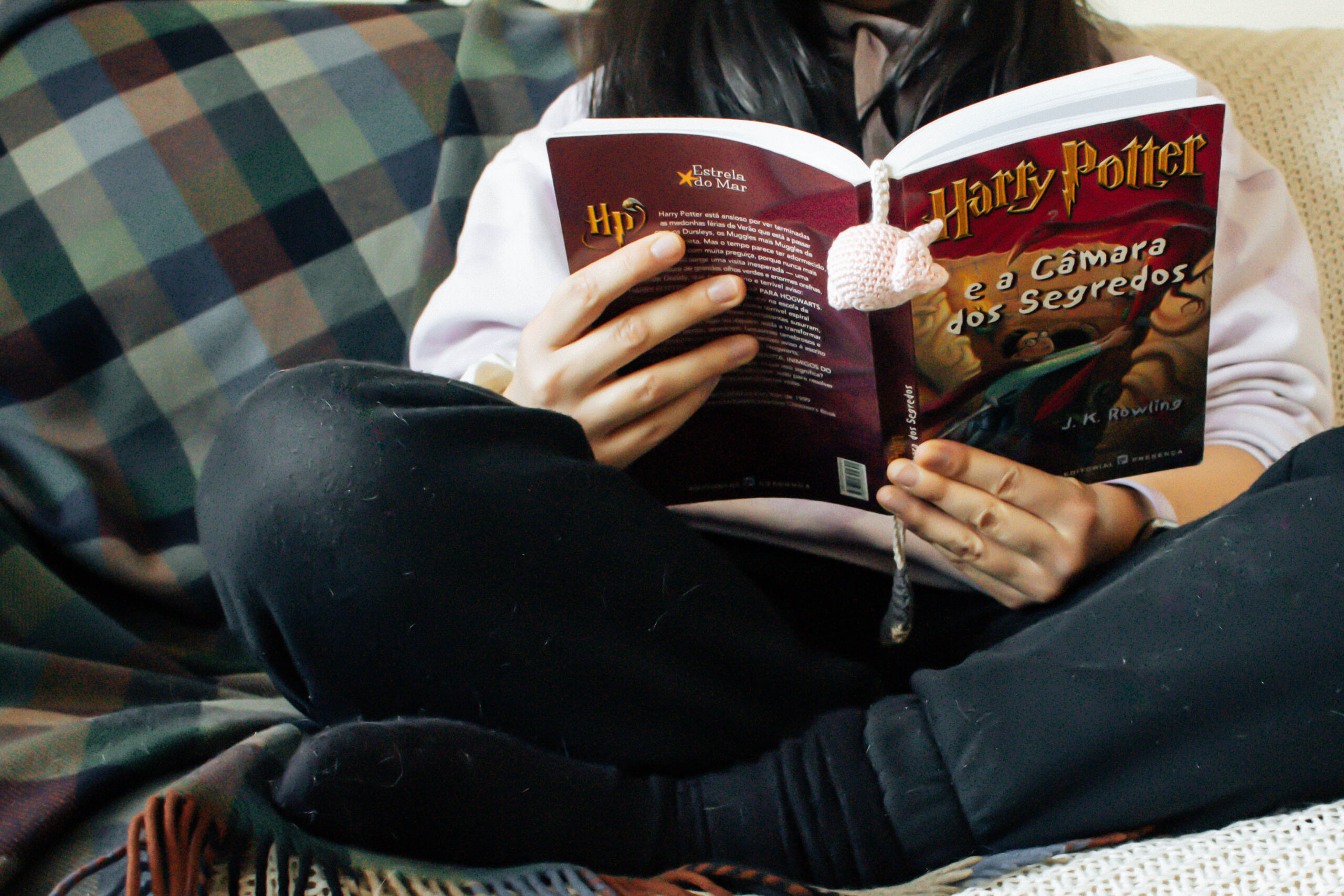 Dobby do Harry Potter (3)